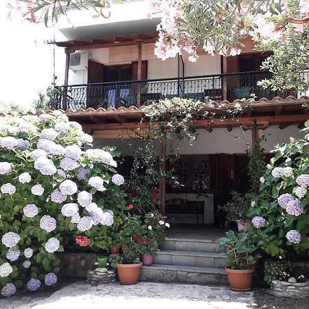 Hotel Akamatis Giorgos à Therma  Extérieur photo
