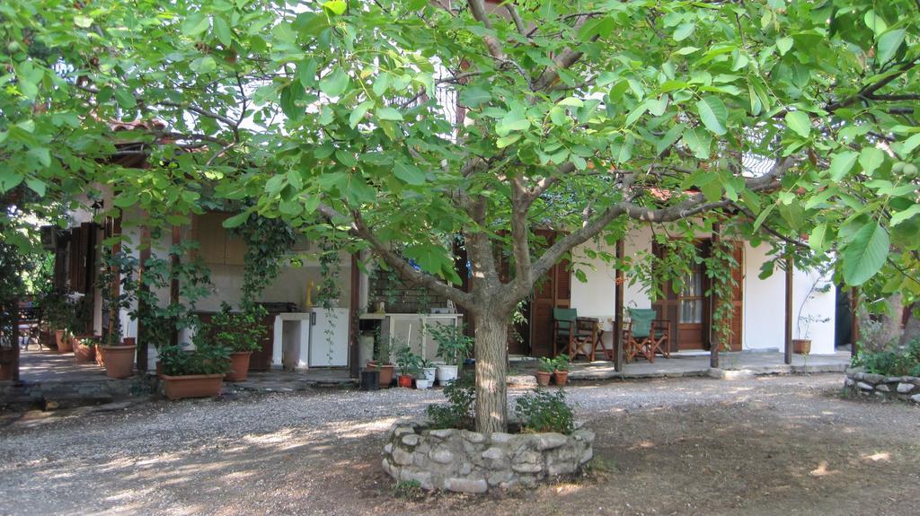 Hotel Akamatis Giorgos à Therma  Extérieur photo