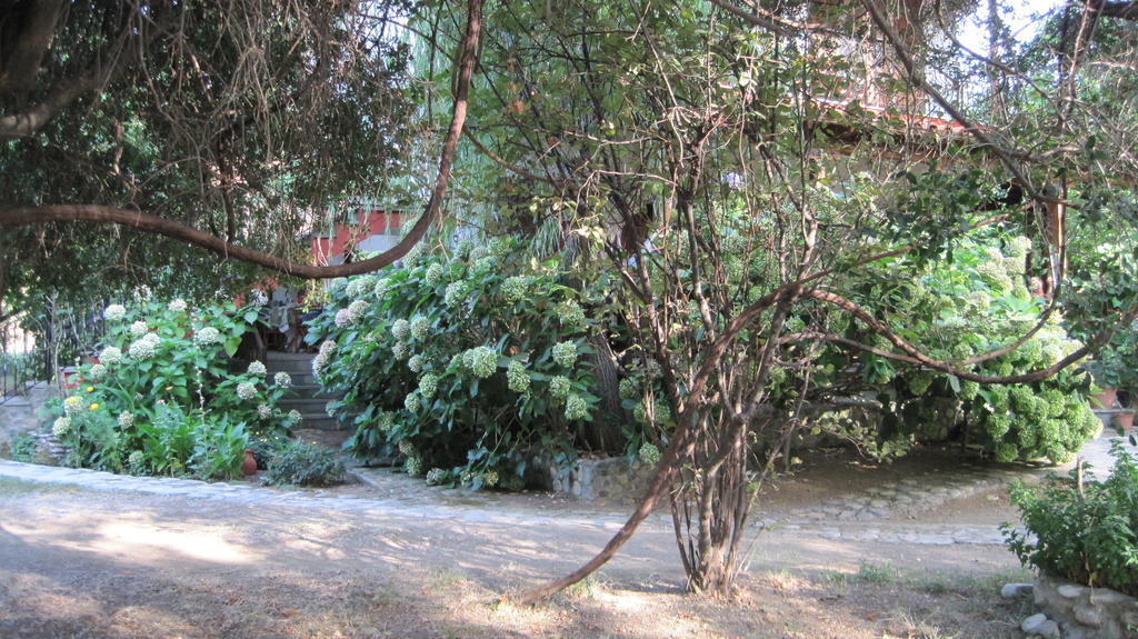 Hotel Akamatis Giorgos à Therma  Extérieur photo