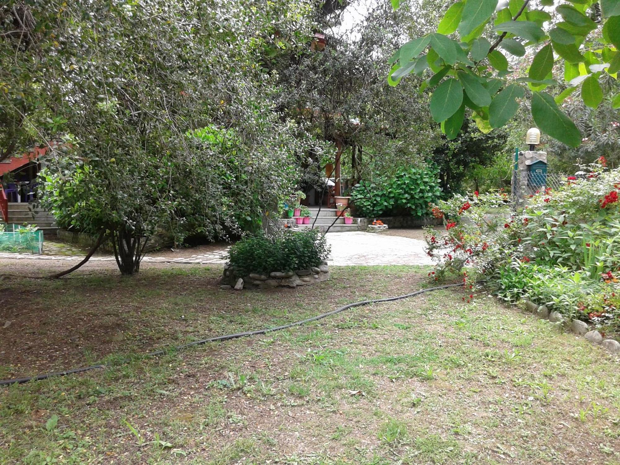Hotel Akamatis Giorgos à Therma  Extérieur photo
